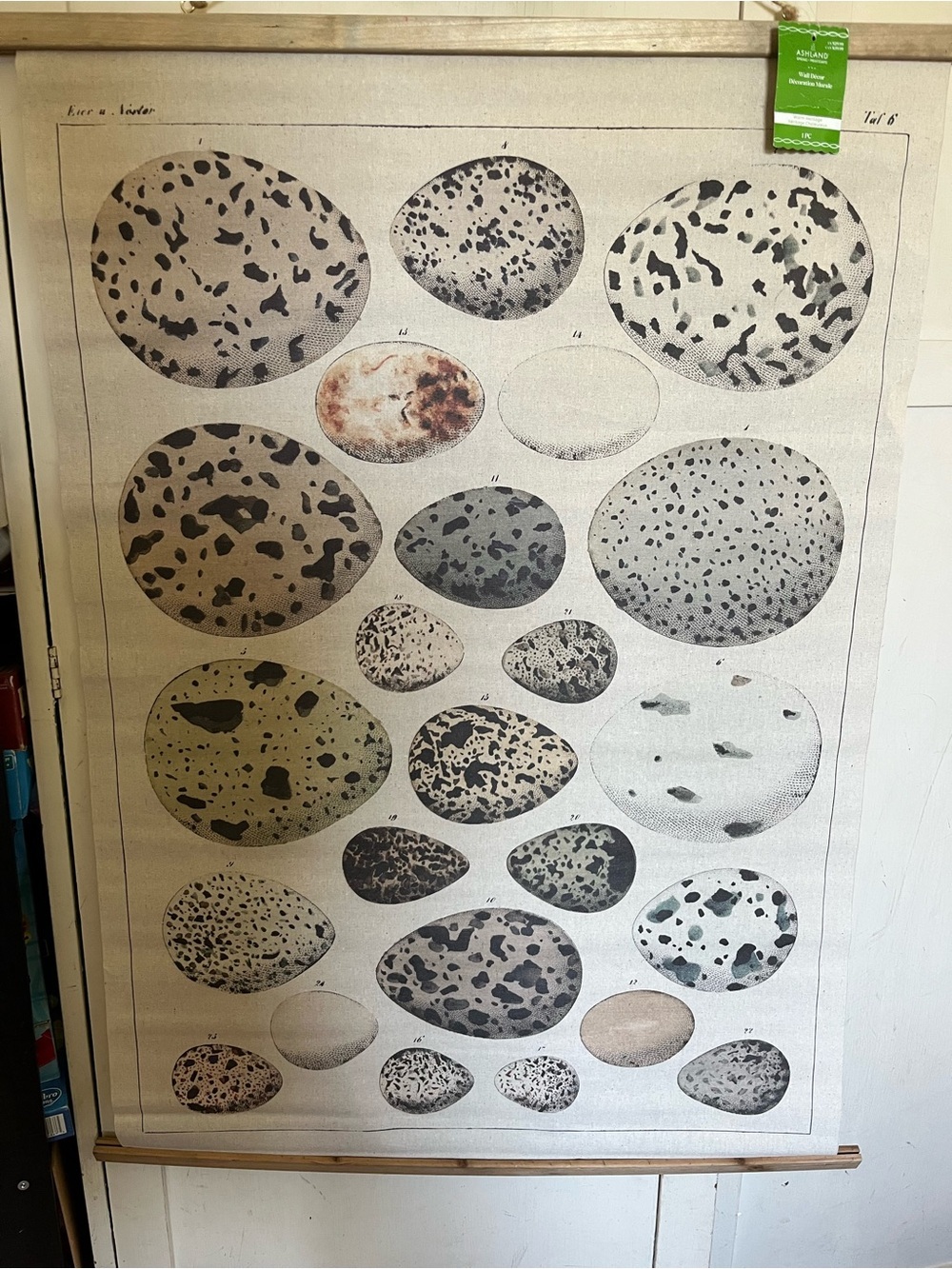 Large Rustic Farmhouse Speckled Egg Illustration Tapestry